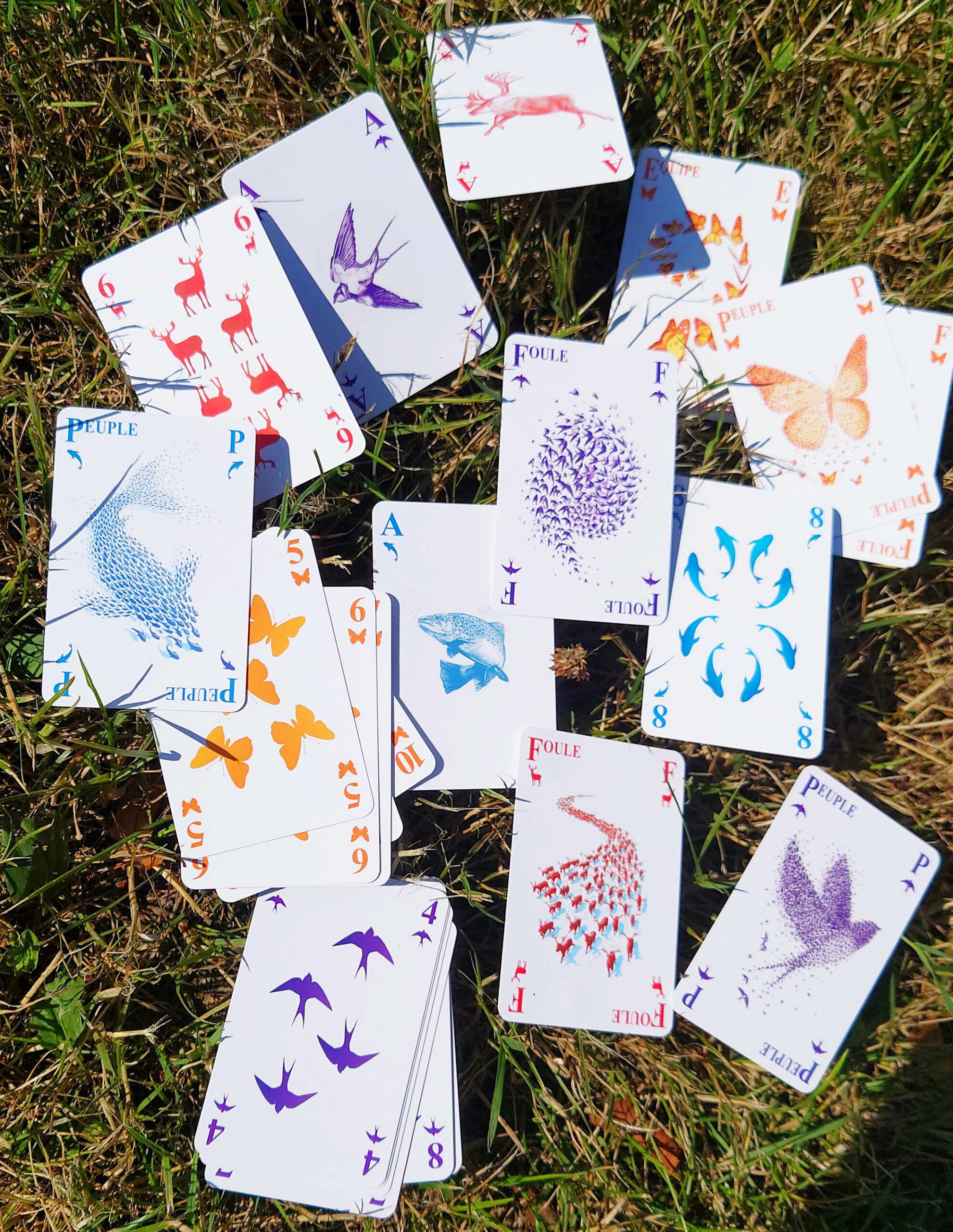 Jeu de 54 cartes – Image 3