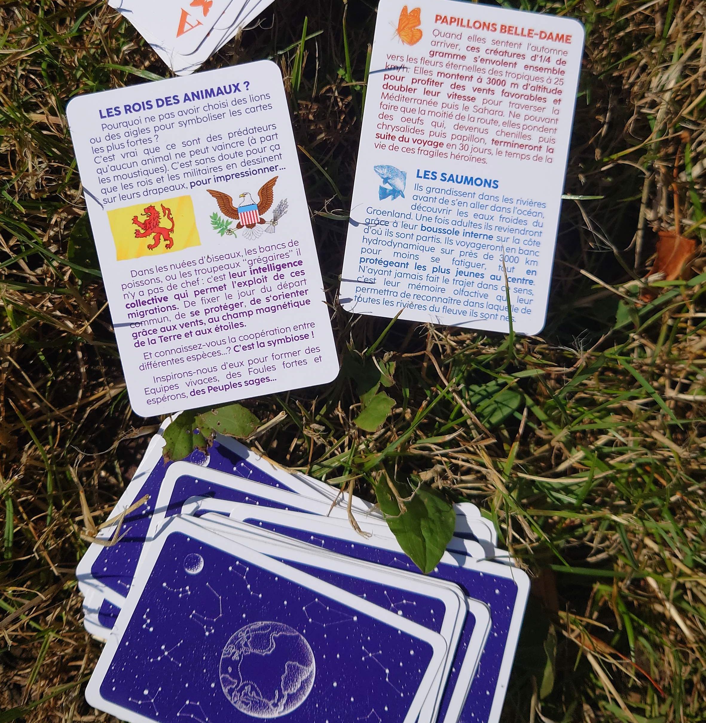 Jeu de 54 cartes – Image 4