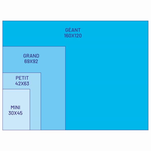 GRAND Planisphère (format A1 - carte 69x69cm) – Image 7
